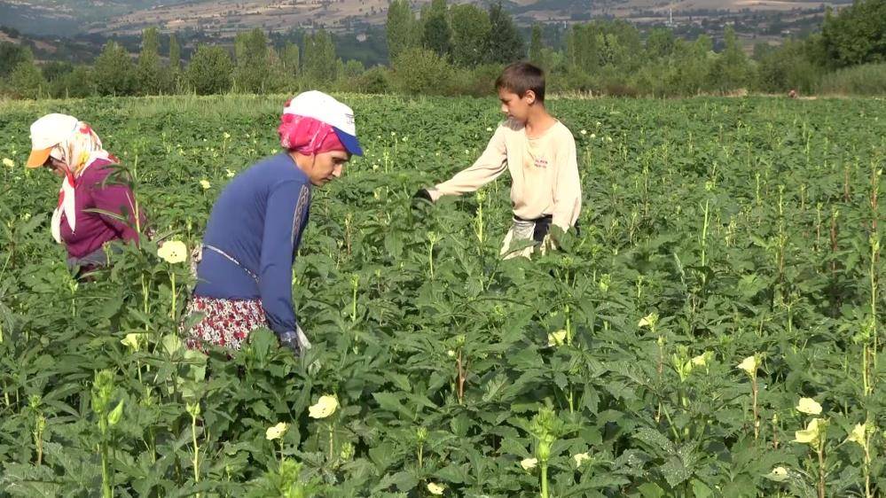 Konya’da düğünlerin vazgeçilmez lezzeti! Kilosu altınla yarışıyor 8